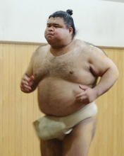 高安、年男に発奮＝大相撲