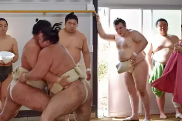 安青錦、豊昇龍らと９番＝大相撲