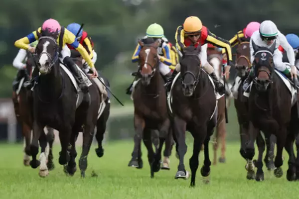欧州の強豪、迎え撃つ日本勢＝３０日にジャパンカップ―競馬