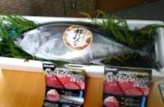 府産天然小型マグロは「都まぐろ」