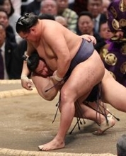 支度部屋＝大相撲春場所