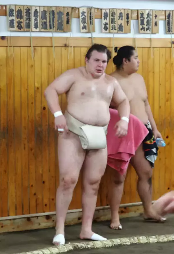 新大関安青錦、出稽古で調整