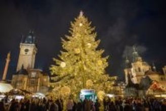 輝くクリスマスツリー