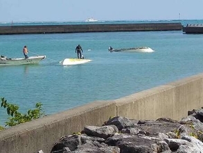 学校法人同志社を調査へ＝辺野古事故で今月にも―文科省