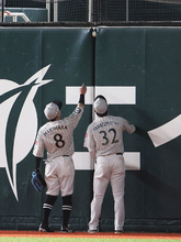 フェンスに挟まった打球　プロ野球