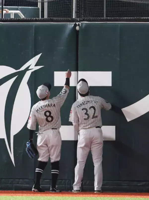 フェンスに挟まった打球　プロ野球
