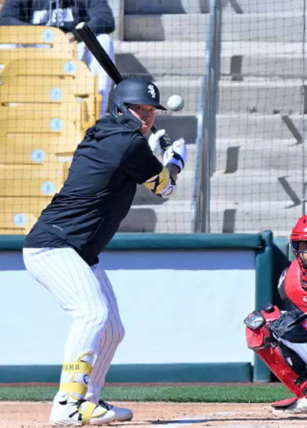 ホワイトソックスの村上　大リーグ