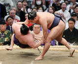 「美ノ海を下す豊昇龍」の画像1