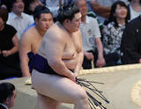 「敗れた大の里」の画像1