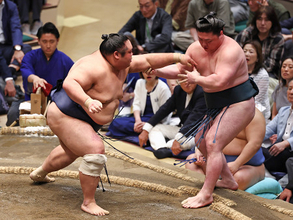 藤凌駕の押し出し