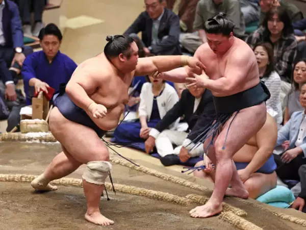 藤凌駕の押し出し