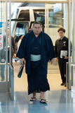 「空港入りする豊昇龍　大相撲」の画像1