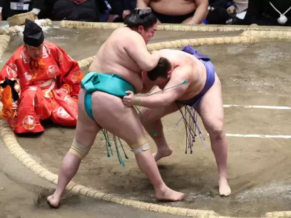 安青錦の寄り切り