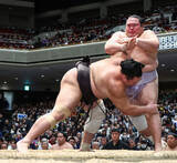 「敗れた朝乃山」の画像1