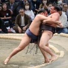 豊昇龍の寄り切り