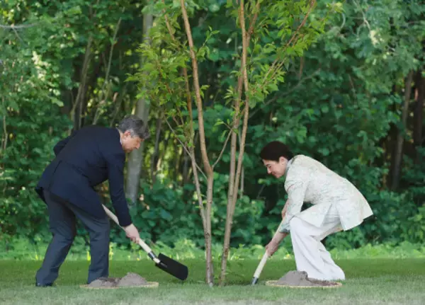 両陛下、公園で桜植樹