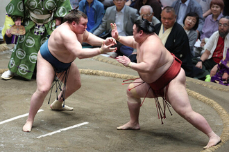 安青錦、５連勝で勝ち越し＝大相撲秋場所