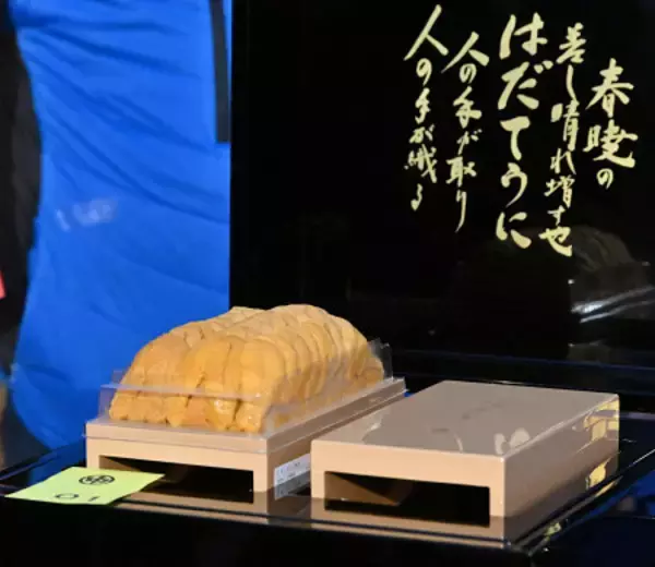 史上最高値のウニ