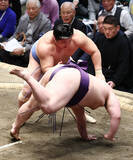 「若隆景の突き落とし」の画像1