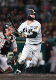 「２点適時打を放つ中野　プロ野球」の画像1