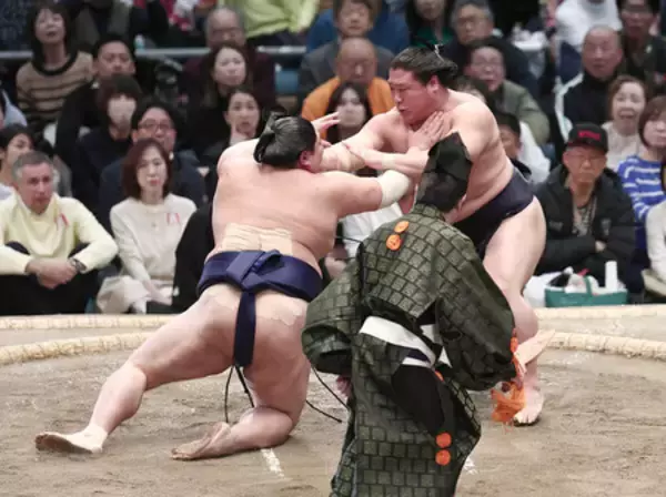 「若隆景、三役復帰へ前進＝大相撲春場所」の画像