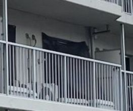 元死刑囚次男「オウム、信仰せず」＝公安庁検査は「違法」、国賠提訴―アレフ所属を否定・東京地裁