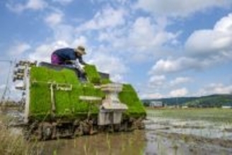 コメ「需要に応じた生産」を規定＝食糧法改正案を閣議決定、備蓄見直しも