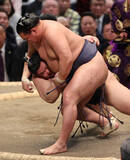 「義ノ富士を下す豊昇龍」の画像1