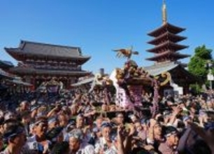 熱気あふれる三社祭の宮出し