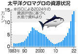 「増えるマグロ、どうなる漁獲枠＝値崩れ懸念、サバやイカに影響も」の画像1