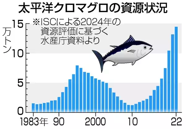 増えるマグロ、どうなる漁獲枠＝値崩れ懸念、サバやイカに影響も
