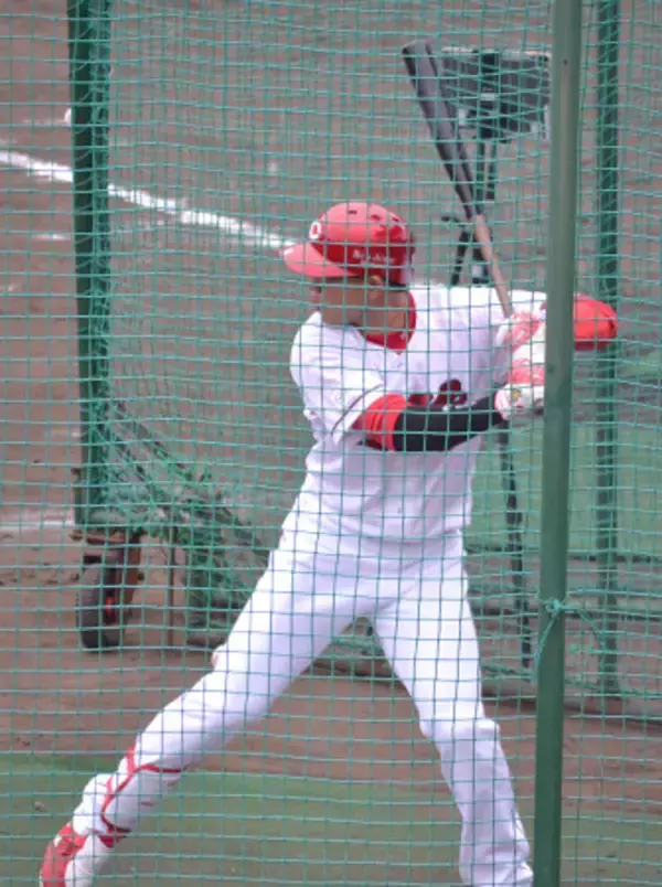 特打に臨む秋山　プロ野球