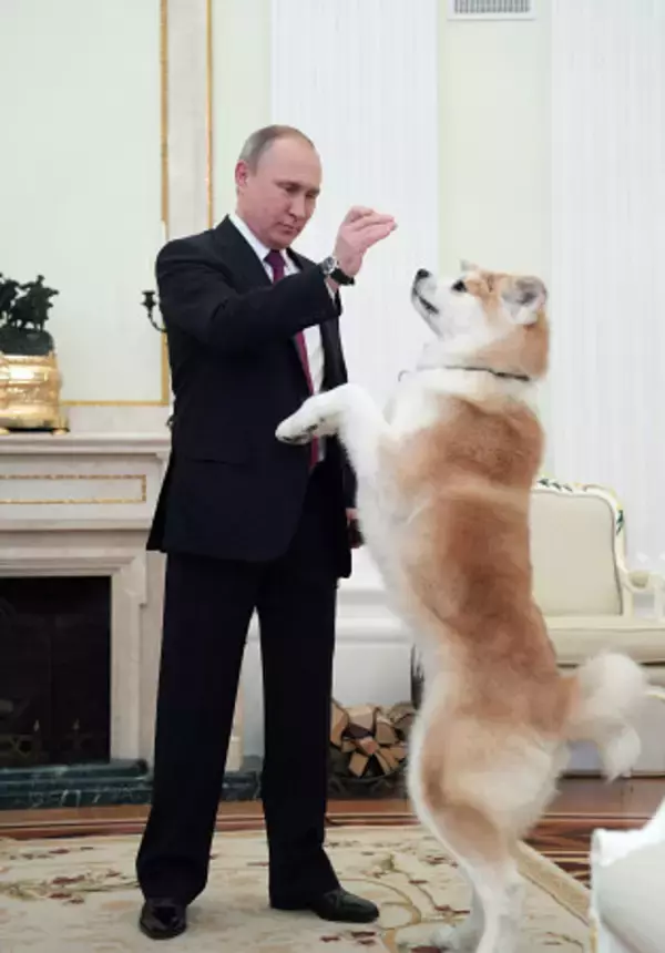 プーチン氏に贈呈の秋田犬死ぬ