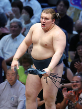 優勝を決めた安青錦