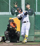 「練習する森下　プロ野球」の画像1