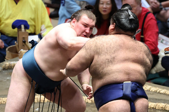 攻める安青錦
