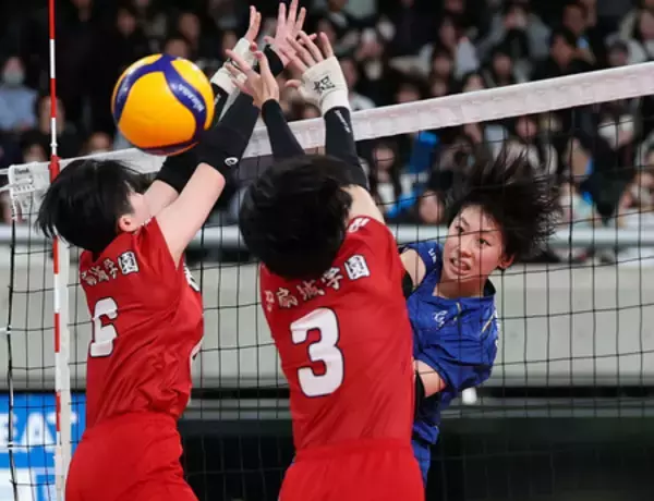 金蘭会、焦らず連続得点＝高校バレー