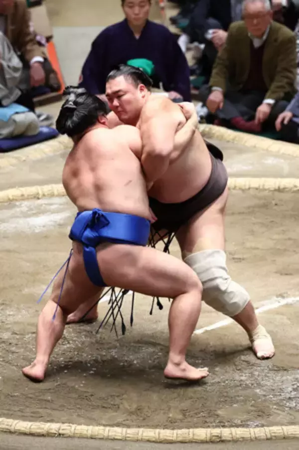 朝乃山、休まず＝大相撲初場所
