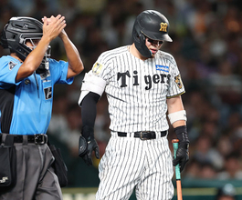 死球を受けた佐藤　プロ野球