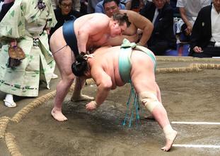 安青錦、踏みとどまる＝大相撲秋場所
