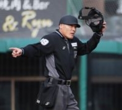 球審がヘルメット着用＝プロ野球