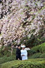 「結婚するつもりない」が３５％＝１５～３９歳の未婚者―こども家庭庁調査
