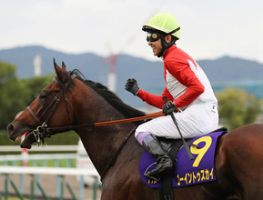 ゴーイントゥスカイと武豊　競馬菊花賞