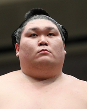 元幕内矢後が引退