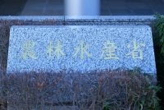 ２６年産米、新潟や秋田は減産＝西日本中心に２０県は増産設定―農水省