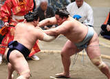 「攻める琴勝峰」の画像1