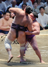 尊富士の寄り切り