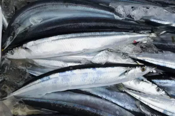 サンマ漁獲枠、５％削減で合意＝日本提案に中国反対―国際会議閉幕