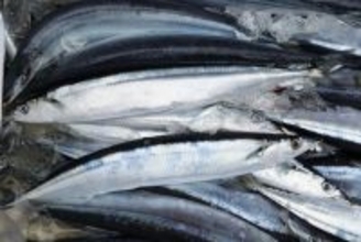 サンマ漁獲枠、５％削減で合意＝日本提案に中国反対―国際会議閉幕