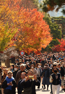 秋の乾通り、一般公開始まる
